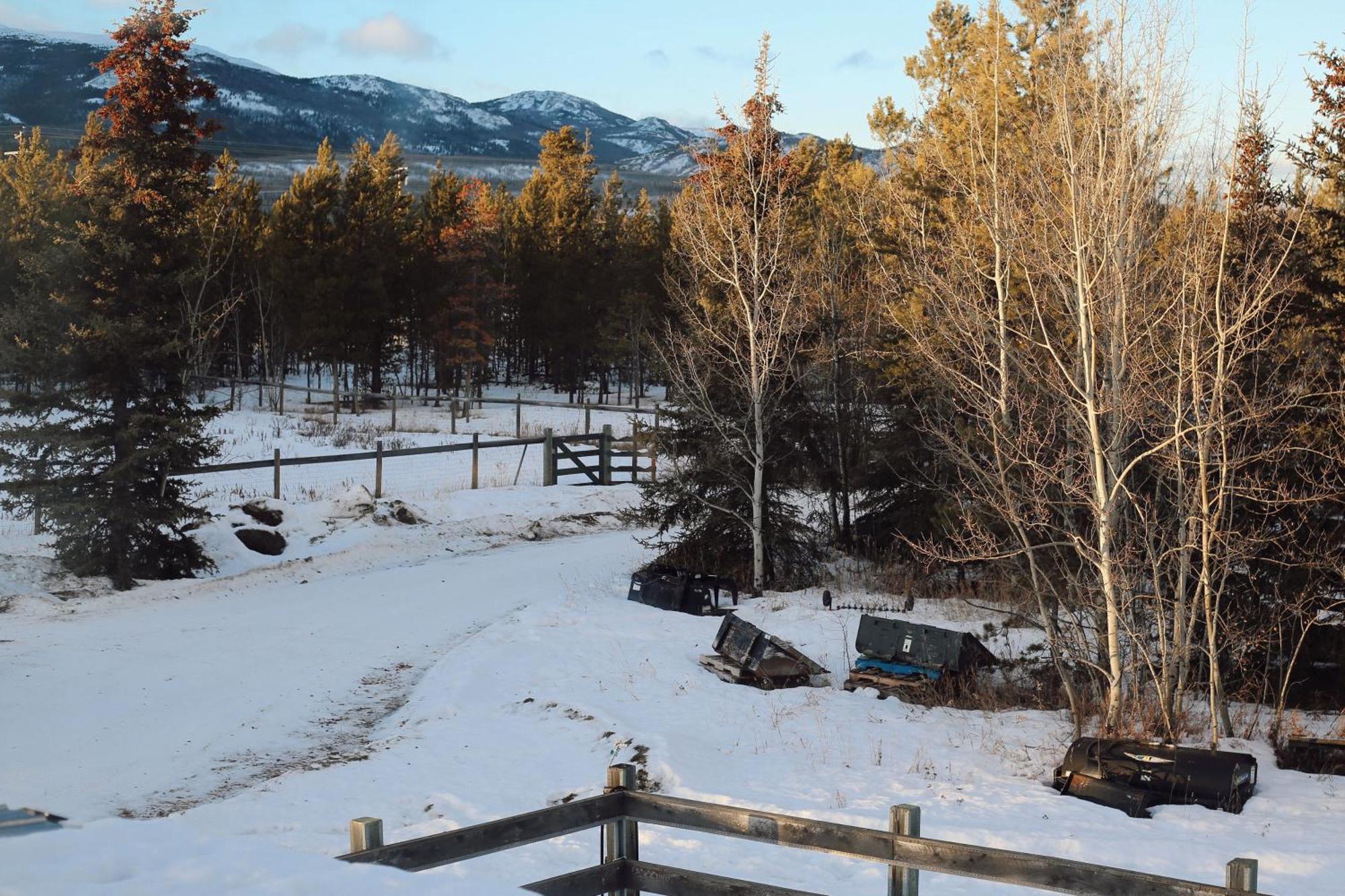 Apartamento The Big Red Barn Whitehorse Exterior foto